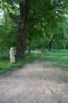 Widok na drogę w parku prowadzącą od pałacu do świątyni.