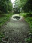 Bojadła – kanał w parku pałacowym. Fot. Łukasz Klimczyk.