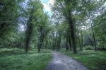 Park pałacowy w Sławie, wnętrze parku (ob. park miejski). Fot. Kamilla Ernandes
